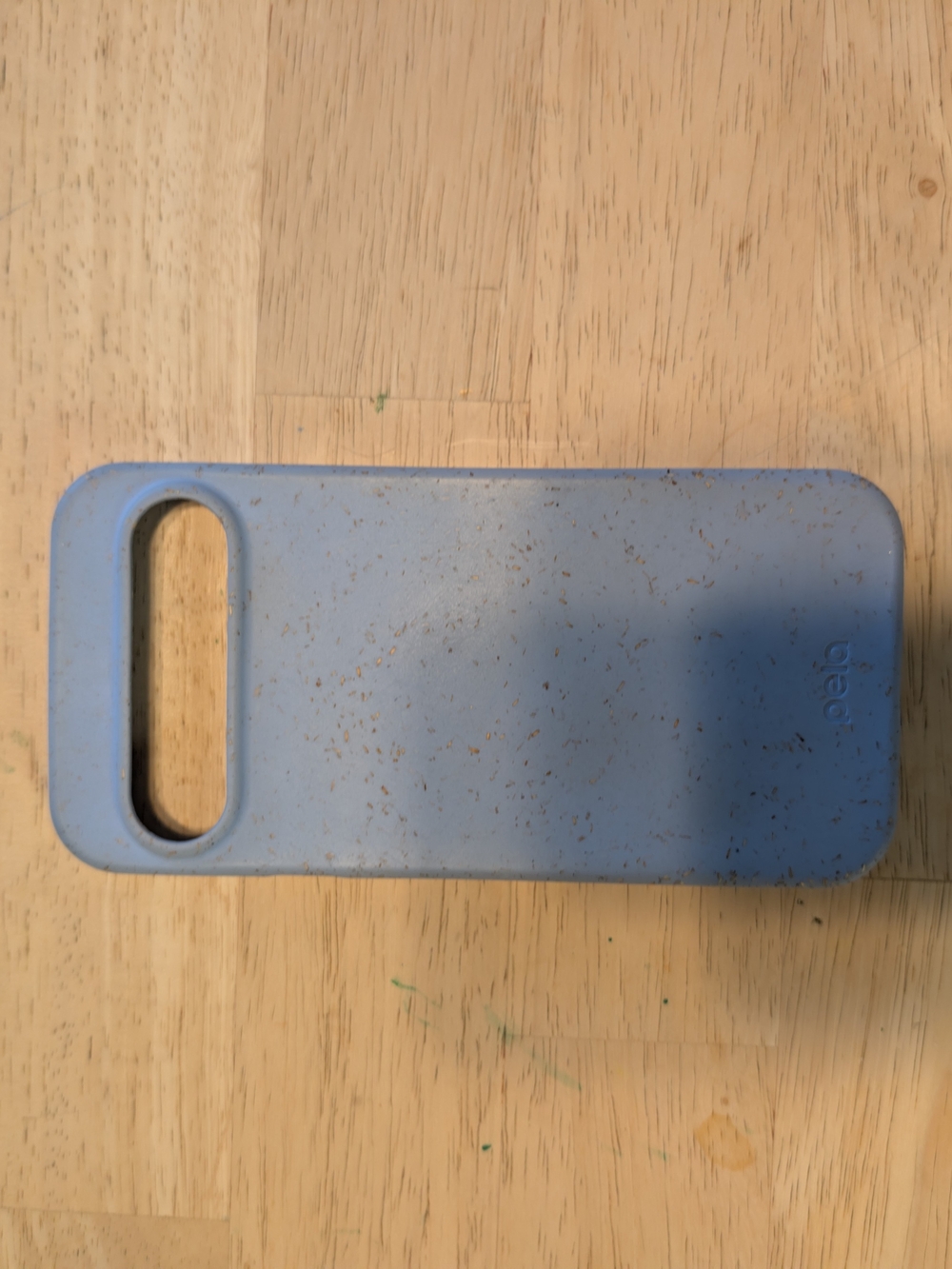 Pixel 9 Pro XL Light Blue Pela Flax Phone Case